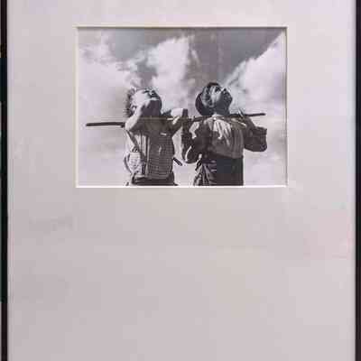 Looking for Birds' Nests, France