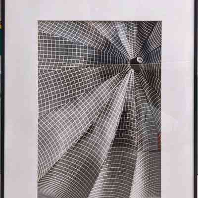 My Grandmother's Parasol