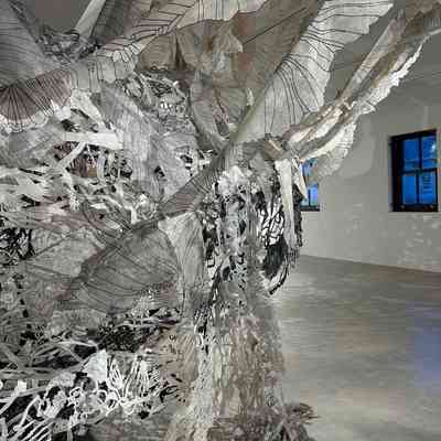 Grinnell_L 2024 Thicket