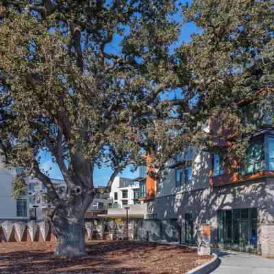 Sato_N 2020 In the Fold