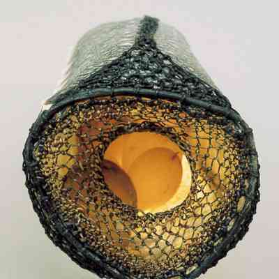 Hopkins_J 1998 Captain's Kaleidoscope