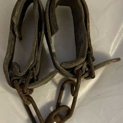 Horse Hobbles