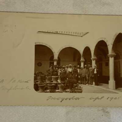 Group 1905