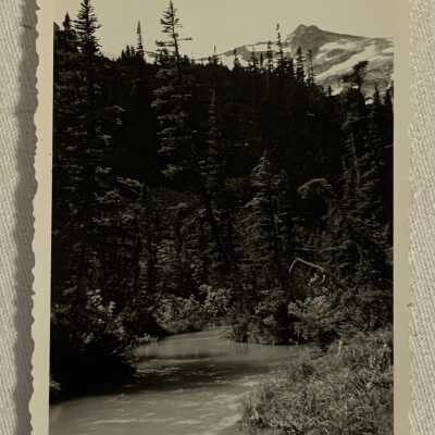 Upper reaches of Mud Creek… July 1944’