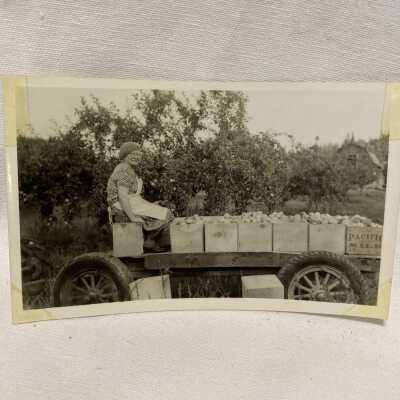Woman in an Orchard