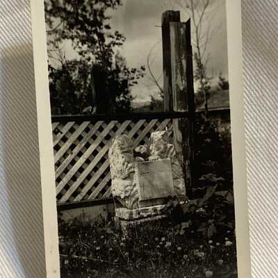 'Indian grave in Old Hazelton Cemetery July 1933'