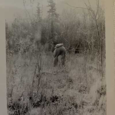 ‘Picking Violets, Hazelton June 1944’