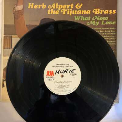 'Herb Alpert & the Tijuana Brass; What Now My Love' Record