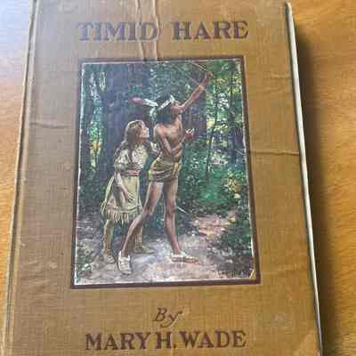 Timid Hare