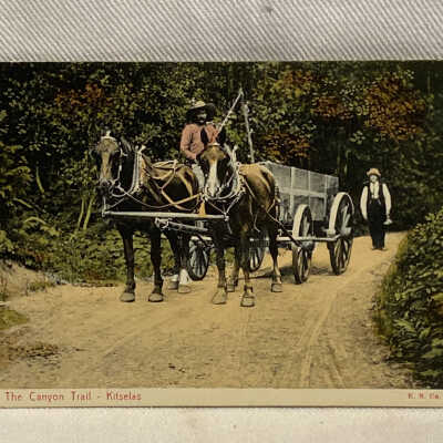 'The Canyon Trail Kitselas'