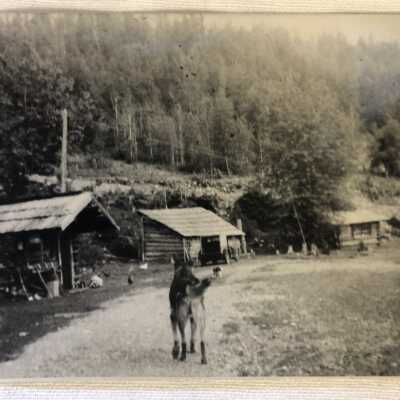 Rosswood