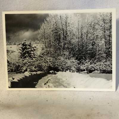 Winter Scene