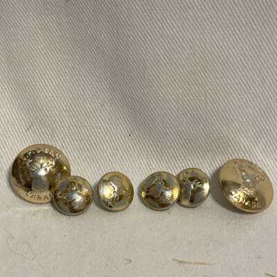 'Elks' Buttons