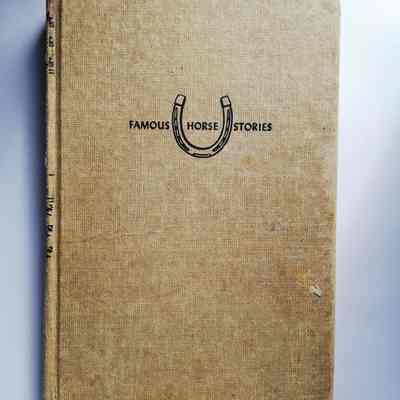 Famous Horse Stories: Wild Palomino