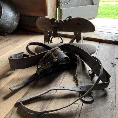 Pack Saddle