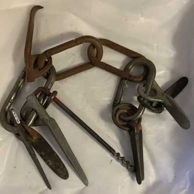 Carabiners with Pitons