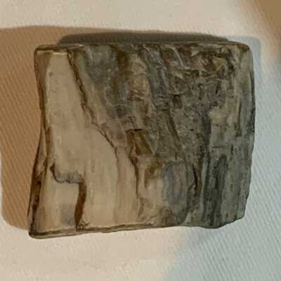 Petrified Wood