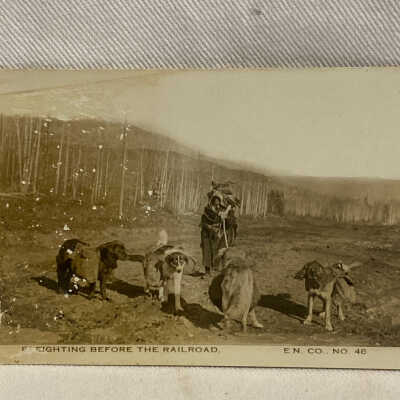 'Freighting Before the Railroad'