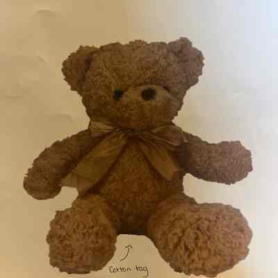 Brown Teddy Bear