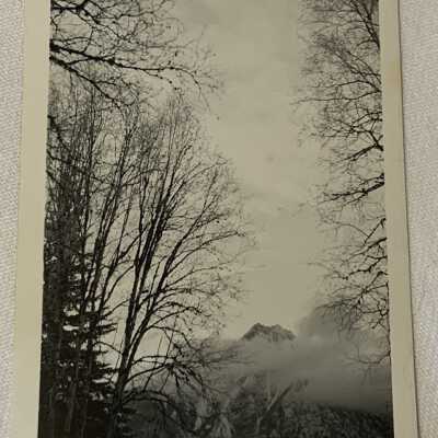 ‘Roche Debouche through the Birch Grove… Jan. 1943’