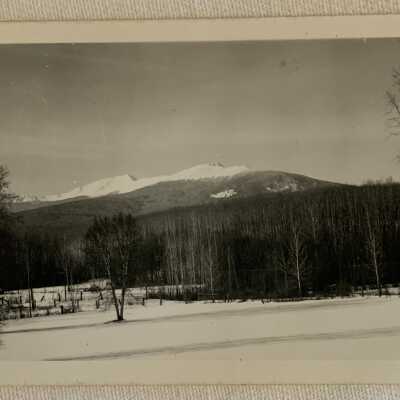'Adummock from Nurses Home Hazelton Feb 1945'