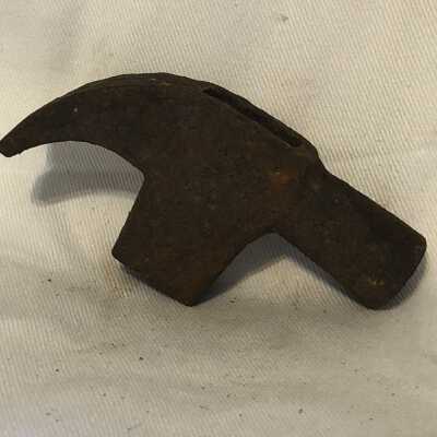 Hammer Head