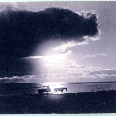 Horse on Beach 1905