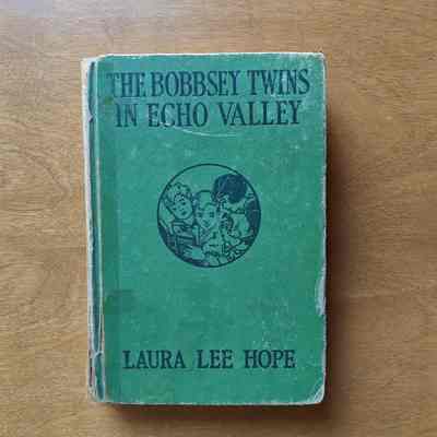 The Bobbsey Twins in Echo Valley