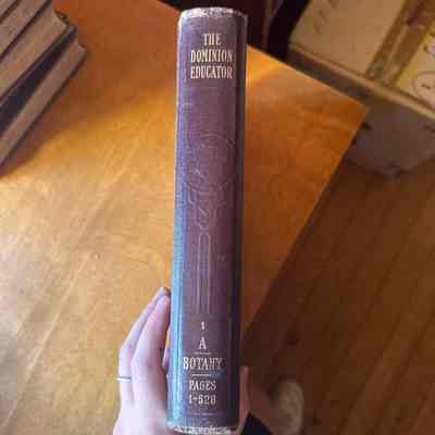The dominion educator