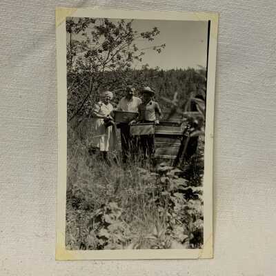Apiary