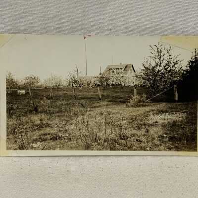 The Orchard