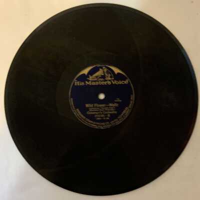 'Just Like a Gypsy; Wild Flower' Record