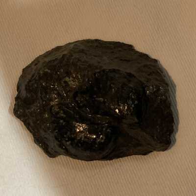 Myophrella Dawsoni: Cylindroteuthis