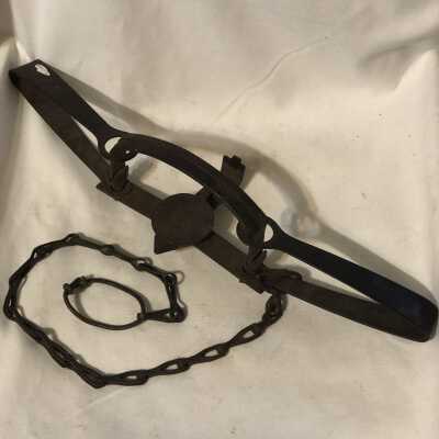 'Hawley & Nopt' Trap