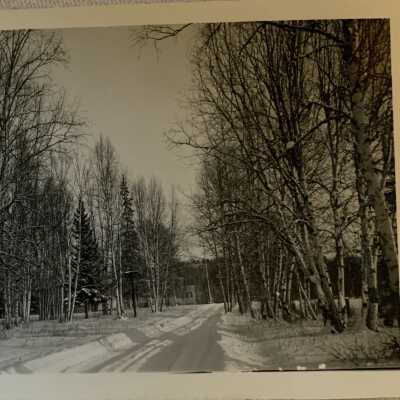 ‘Birch Grove and Driveway Wrinch Memorial Hospital Jan. 1943’