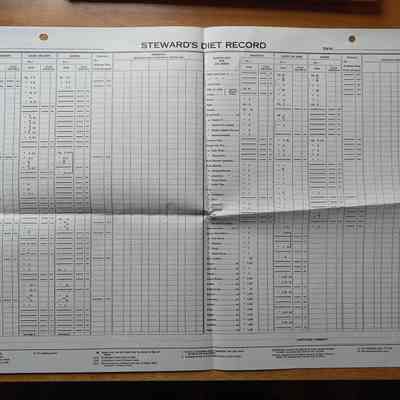 Steward's Diet Record