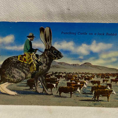 'Punching Cattle on a Jack Rabbit'