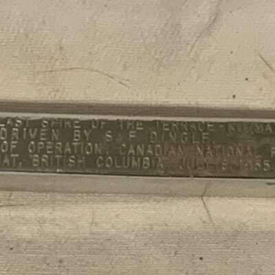 Commemorative Spike