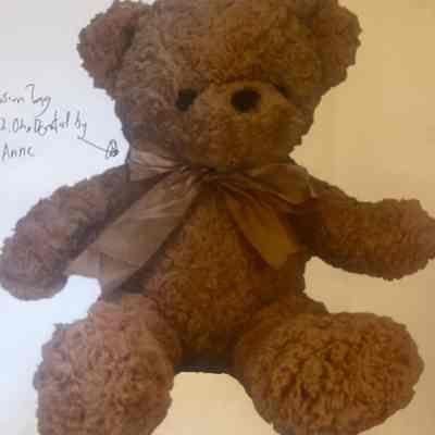 Stuffed Teddy Bear Toy