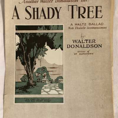 'A Shady Tree' Sheet Music