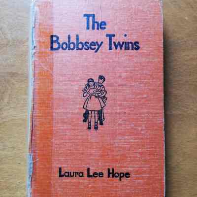 the Bobbsey Twins