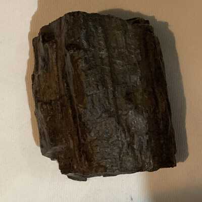 Petrified Wood