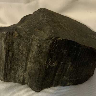 Petrified Wood