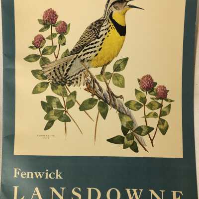 'Fenwick Lansdowne'