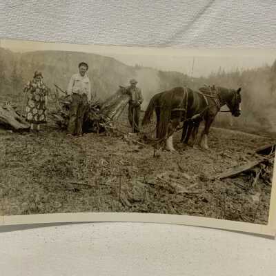Clearing the Land