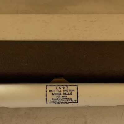 'Wait Til the Sun Shines Nellie' Piano Player Roll