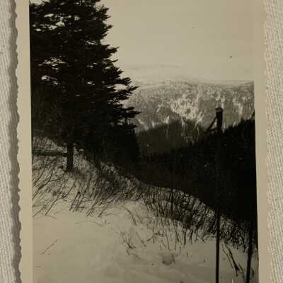 'Silver Cup Nine Mile Mt. Hazelton Jan 1945'