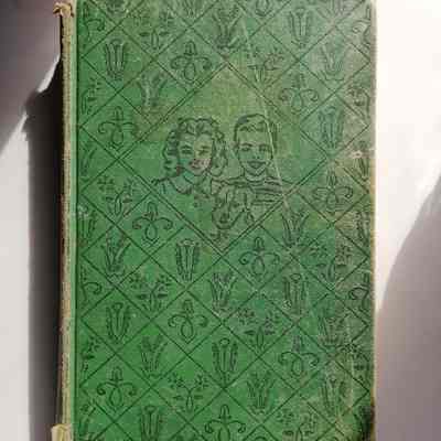 The Bobbsey Twins at Cloverbank