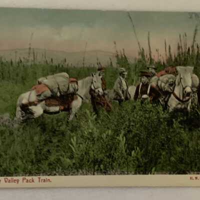 ‘Bulkley Valley Pack Train.’
