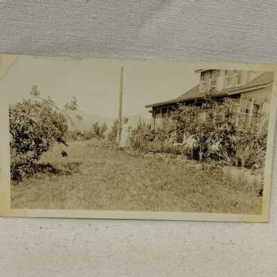 Woman in the Garden